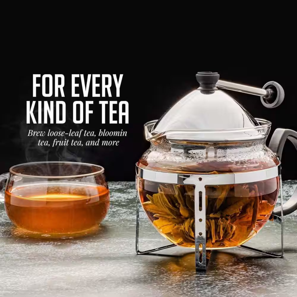 2-Cup Glass Tea Pot with Removable Stainless-Steel Infuser
