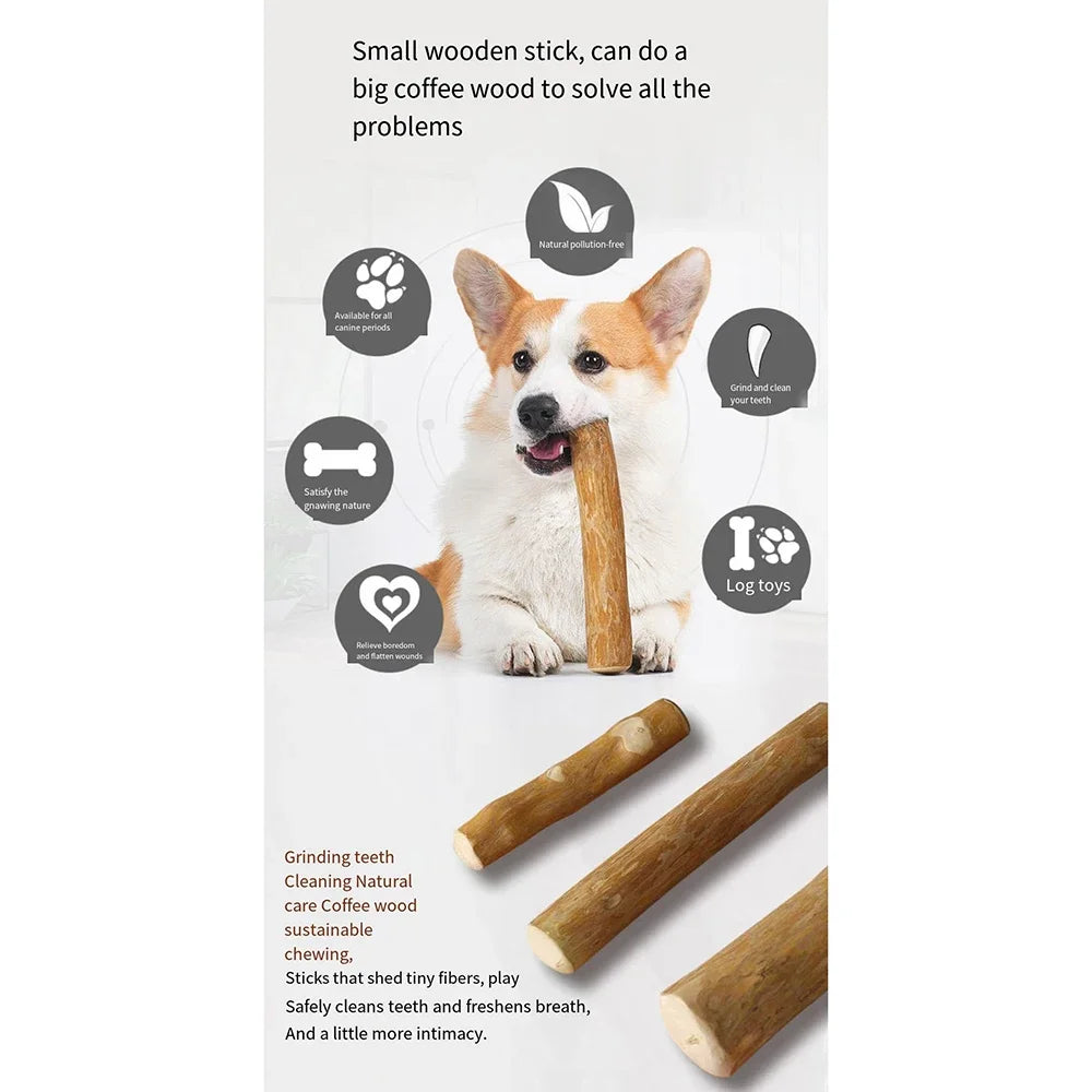 4In1 Coffee Wood Dog Chew Toys Size Large, 100% Natural Coffeewood Toys for Dogs, Dental Health & Reduces Boredom, Dog Wood Toys Supports Mental Stimulation & Training