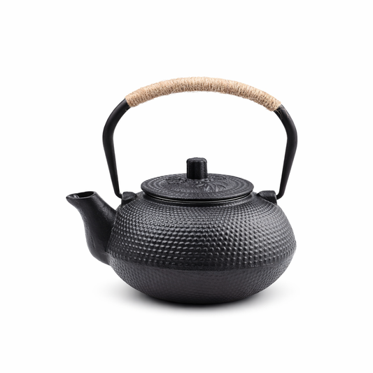 Cast Iron Teapot with Infuser – Japanese Style Tea Kettle (22 oz)