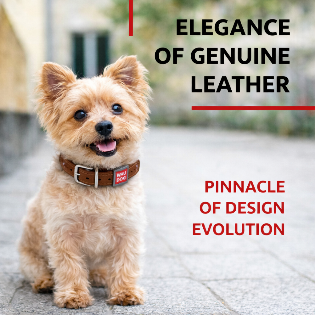 Genuine Leather Dog Collar XS – 8-11 in Neck with QR Safety Tag
