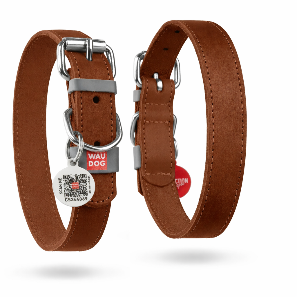 Genuine Leather Dog Collar XS – 8-11 in Neck with QR Safety Tag
