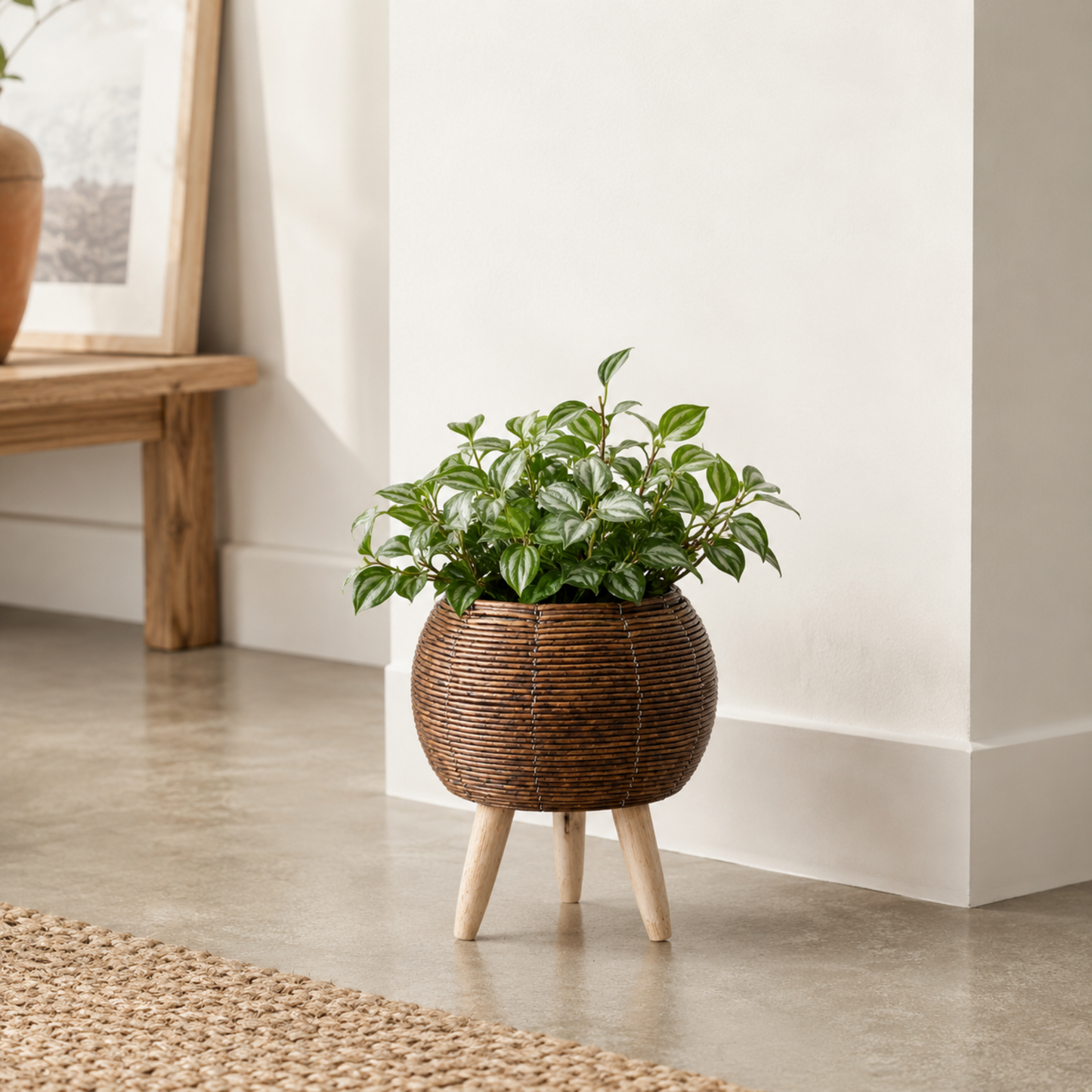 Nordic Rattan Planter with Wooden Legs