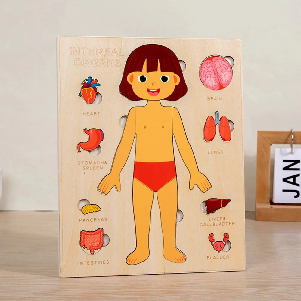 Wooden Body Puzzles for Kids, Toddler Montessori 14 Pieces Boy Anatomy Puzzle, Human Body Learning Toy with Internal Organs Early STEM Educational Toy for Boys and Girls Ages 3 4 5 6 Years Old
