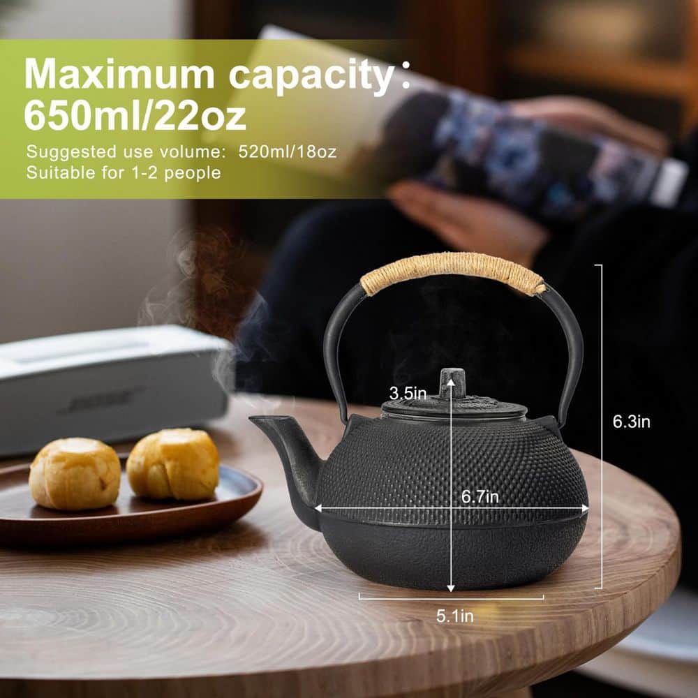 2-Cup 22 Oz. Cast Iron Tea Pot with Stainless Steel Infuser, Tea Kettle with Enameled Interior for Stovetop